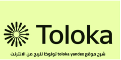 كيفية الربح من موقع toloka