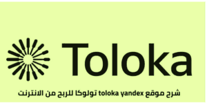 كيفية الربح من موقع toloka
