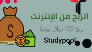 ربح 60 دولار يوميأ من موقع Studypool للربح من الانترنت