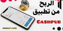 موقع كاش بوب Cashpub .. فرصة الربح عبر الإنترنت في المغرب العربي